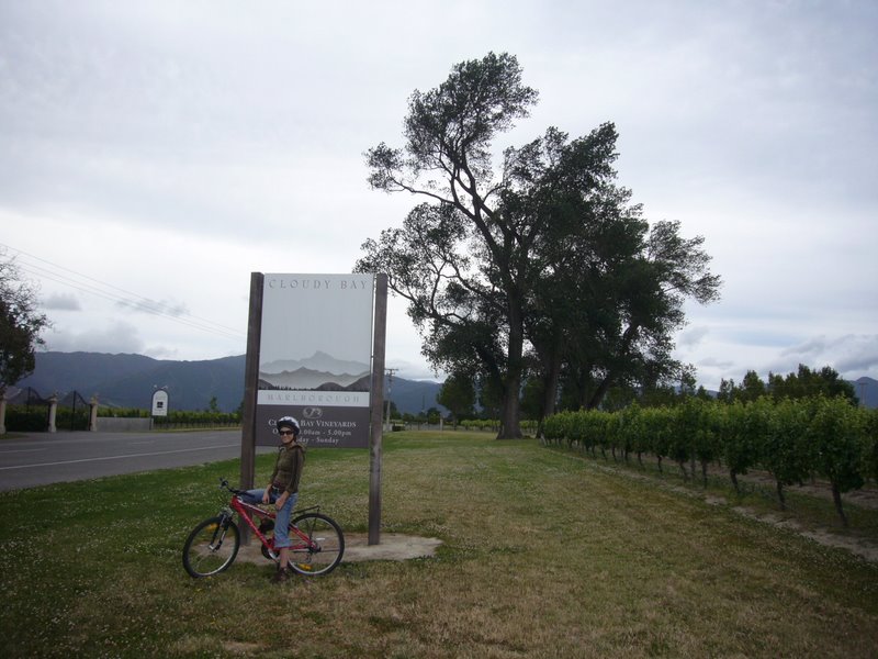 Loving the cycling